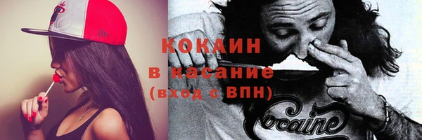 прущие грибы Арсеньев