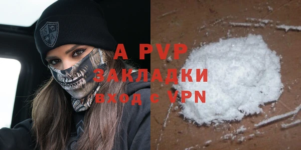 прущие грибы Арсеньев