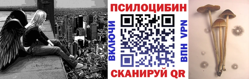 как найти закладки Строитель Галлюциногенные грибы Psilocybe